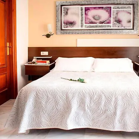 Hotel Albero-3