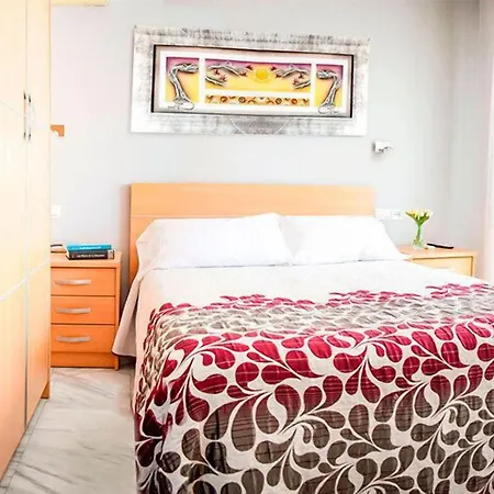 Hotel Albero-2